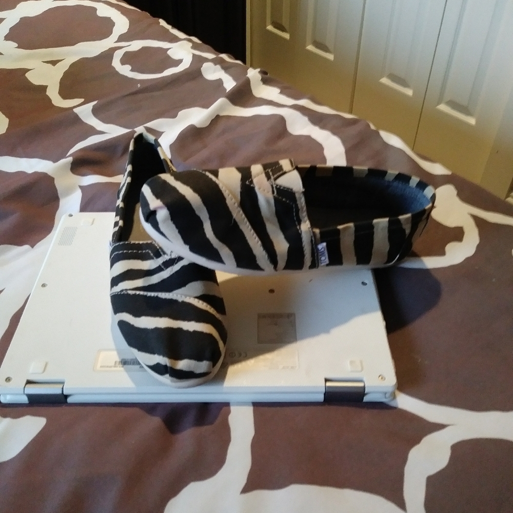 TOMS ZEBRA SHOES